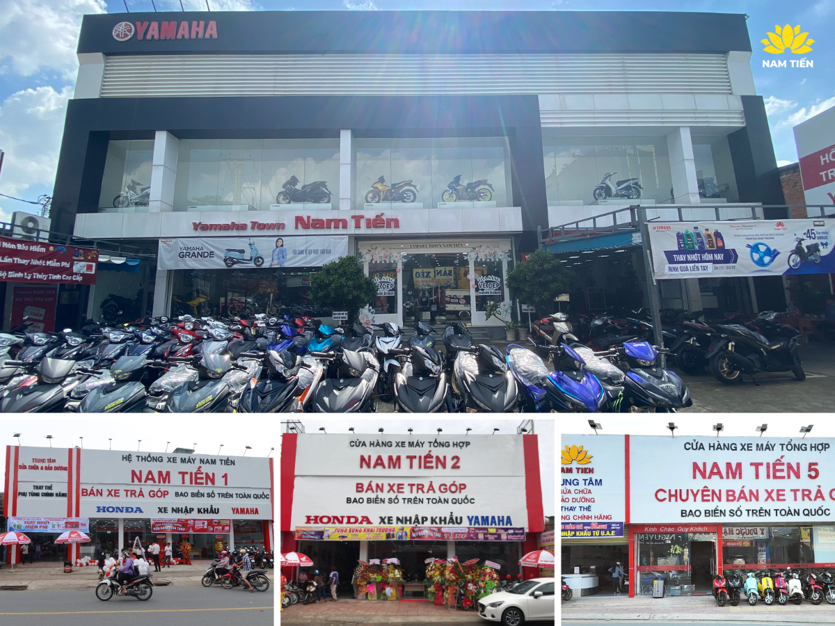 yamaah-exciter-155-monster